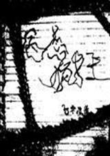 病态疯狂txt下载