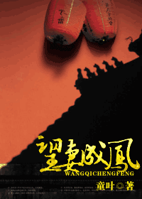 望妻成凤txt下载