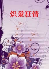 炽爱狂情txt下载