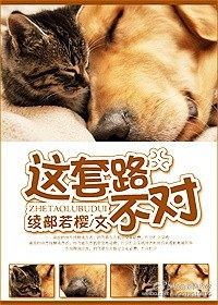 这套路不对！txt下载