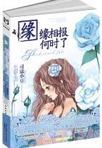 缘缘相报何时了txt下载